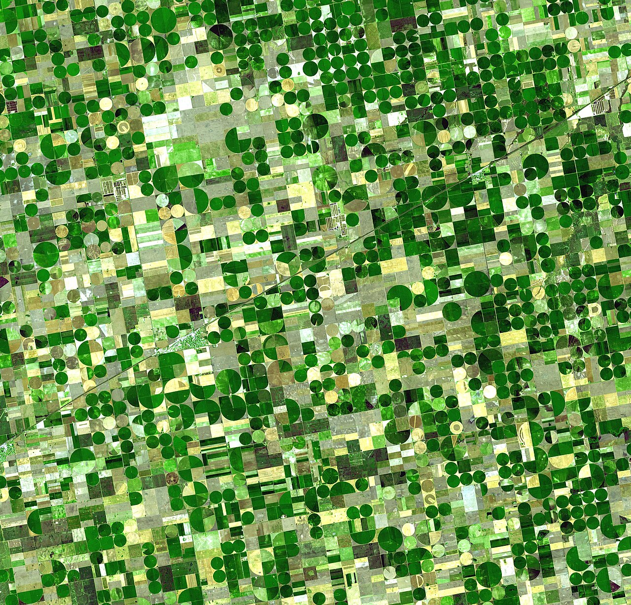 Kansas farmland from above.